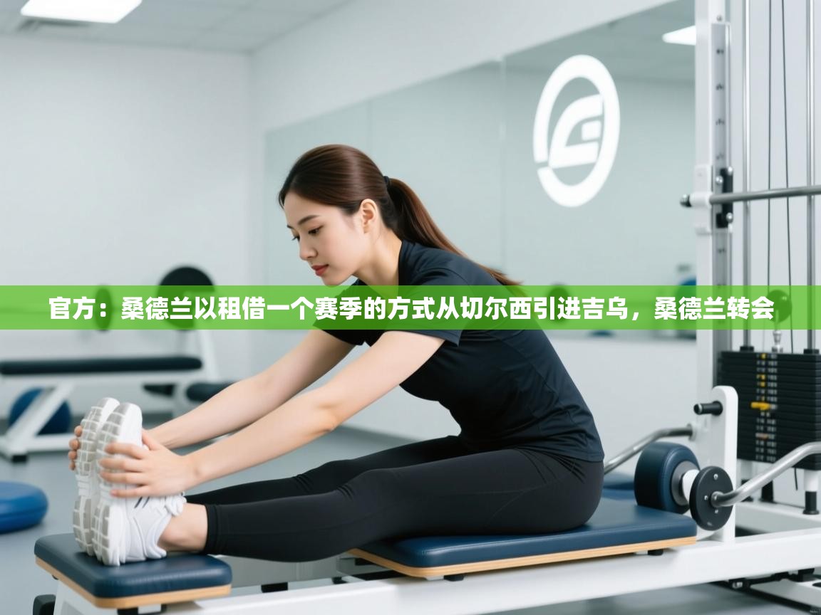 官方：桑德兰以租借一个赛季的方式从切尔西引进吉乌，桑德兰转会  第1张