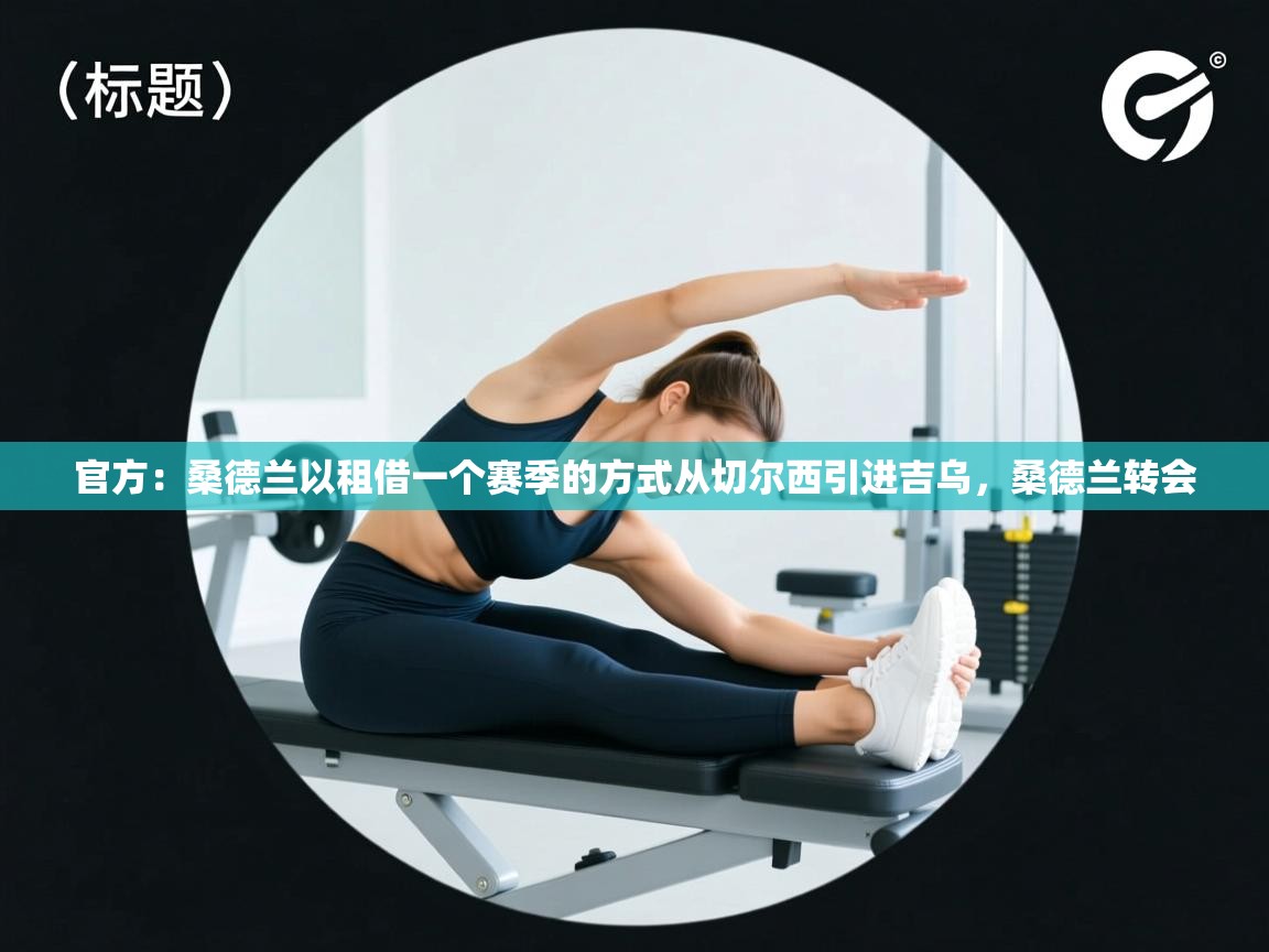 官方：桑德兰以租借一个赛季的方式从切尔西引进吉乌，桑德兰转会  第2张