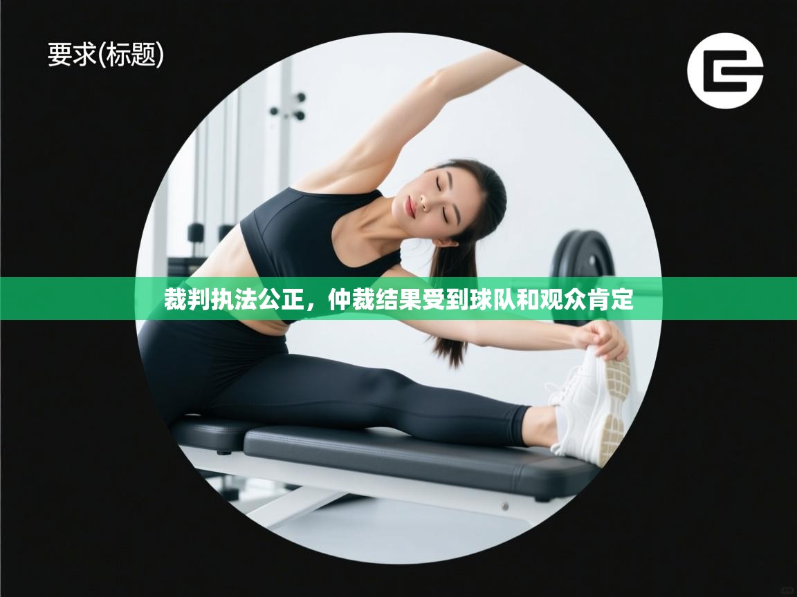 裁判执法公正，仲裁结果受到球队和观众肯定