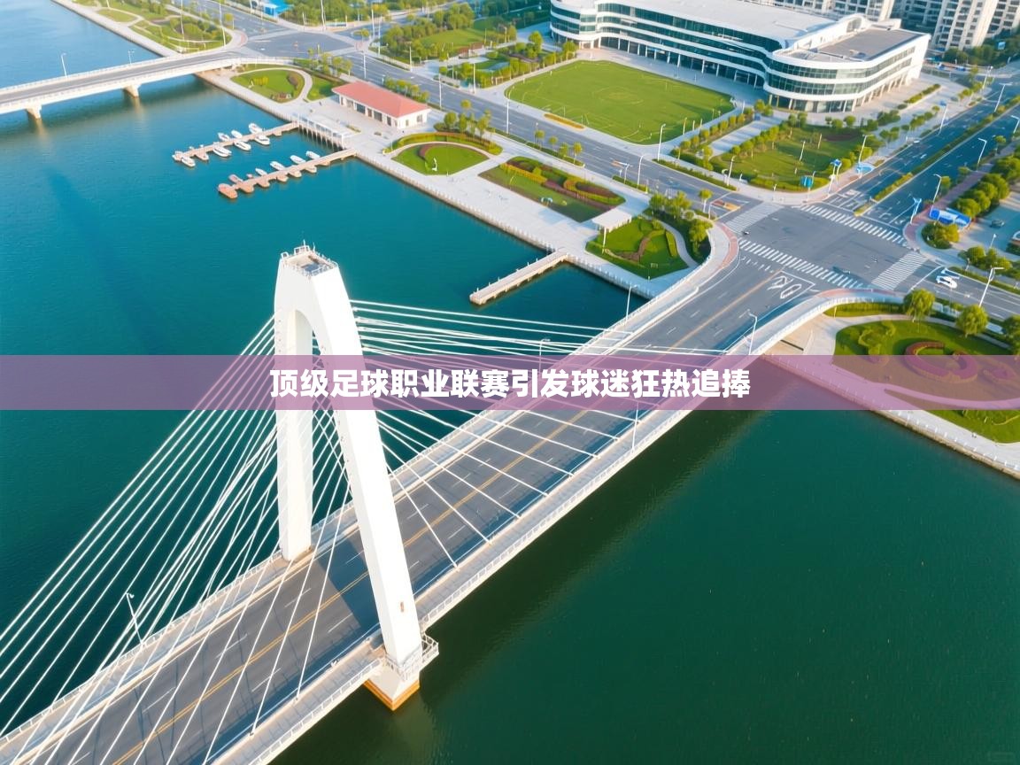 顶级足球职业联赛引发球迷狂热追捧