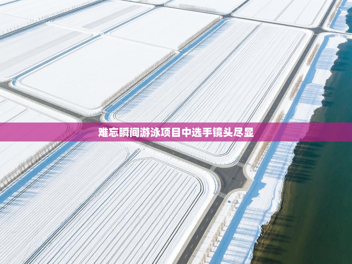 难忘瞬间游泳项目中选手镜头尽显